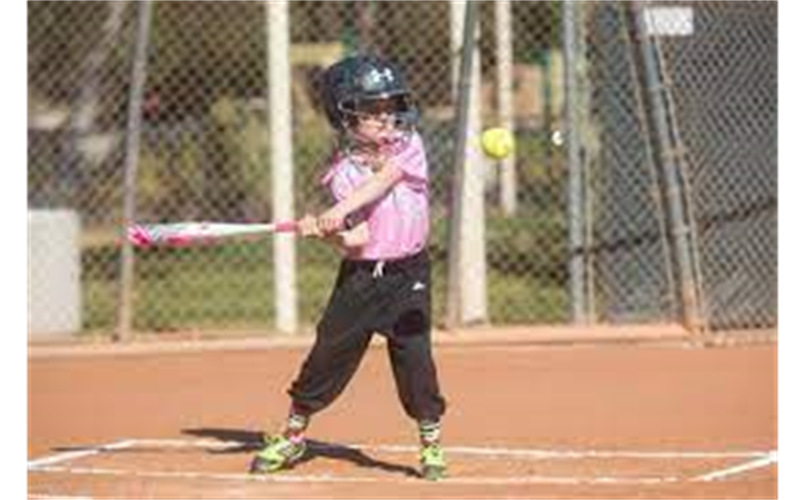 Miss Venice Fast Pitch > Home